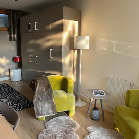 Studio Luxe 2 P Dans Les Vignes, Aux Vignes Lovees Riquewihr Extérieur photo